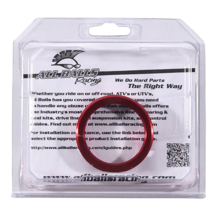 Wheel Bearing Retainer Kit Rear 11-2002