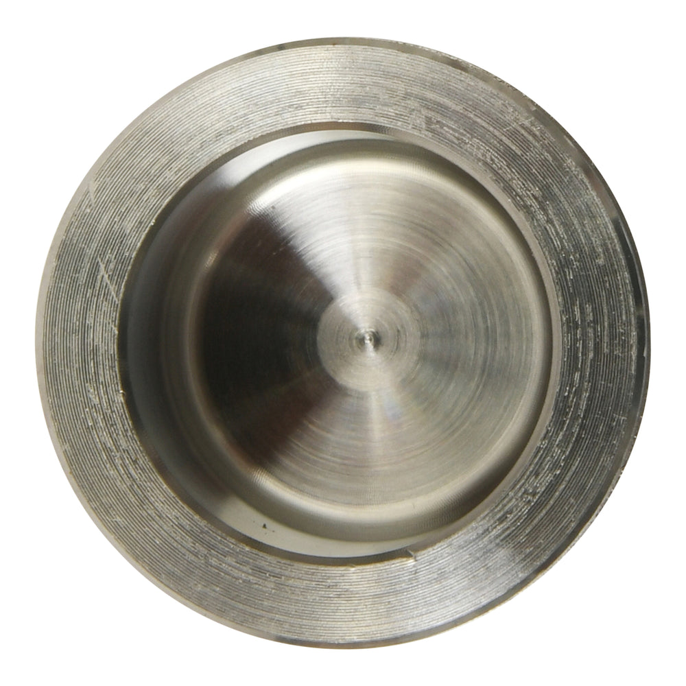 Front Brake Caliper Piston Kit - Honda