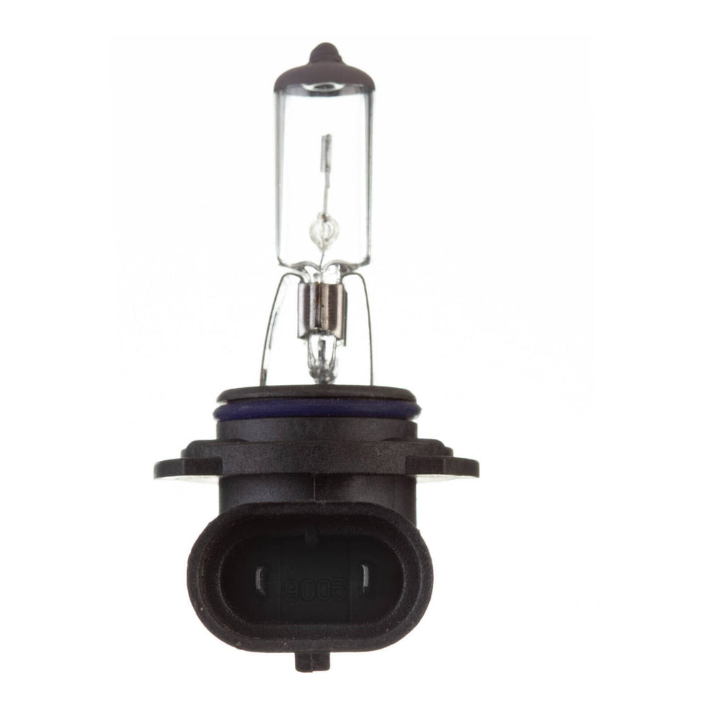 Globe 12V 55W H/L HB4 Plastic Base Halogen (ea)