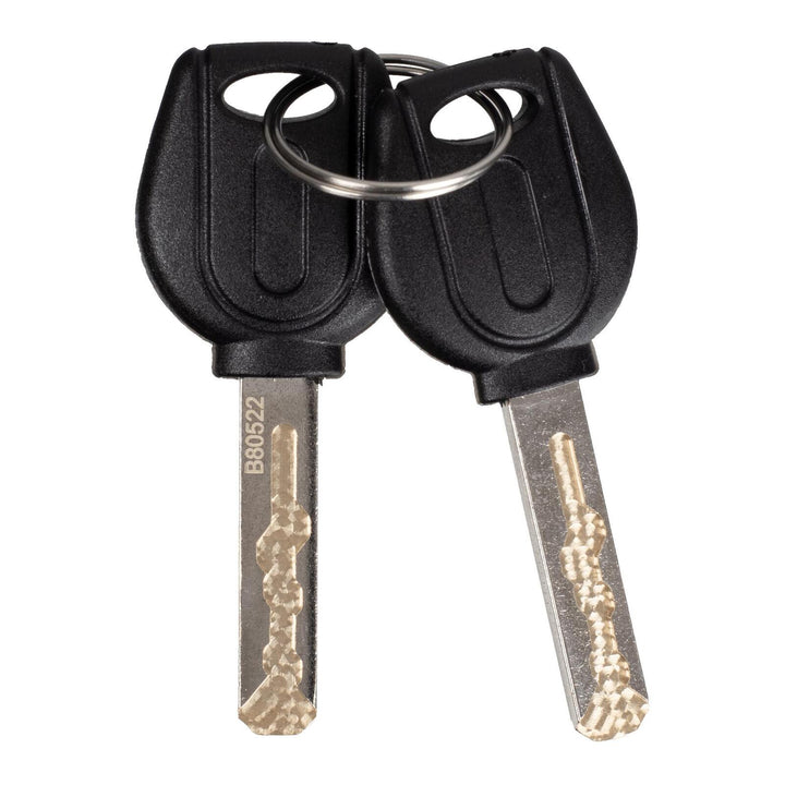 WMP Disc Lock Alarm Type 6mm Pin With Reminder